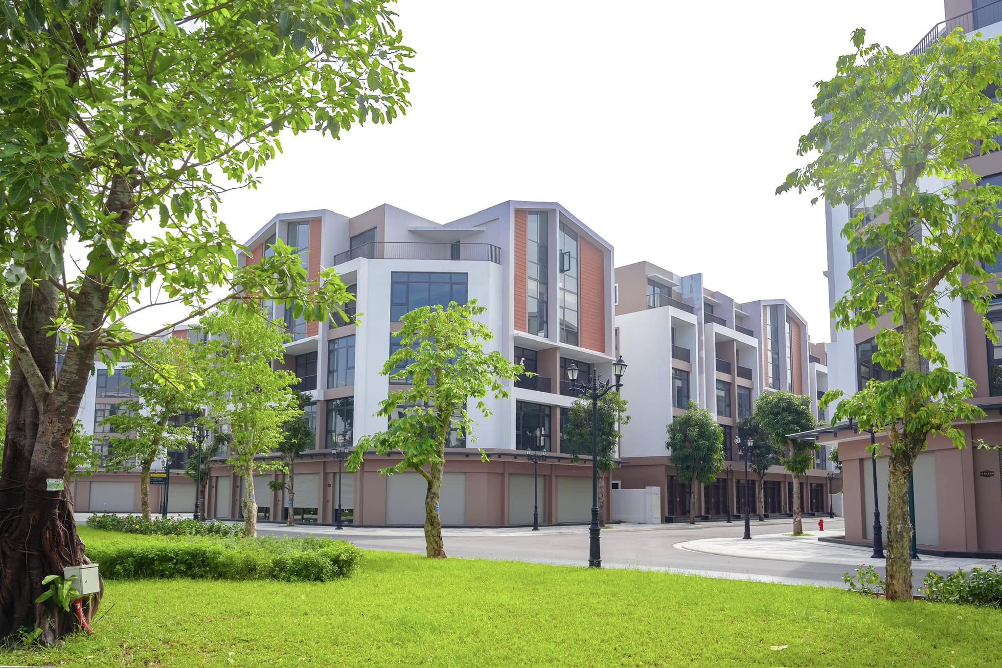 Hình dự án Dự án